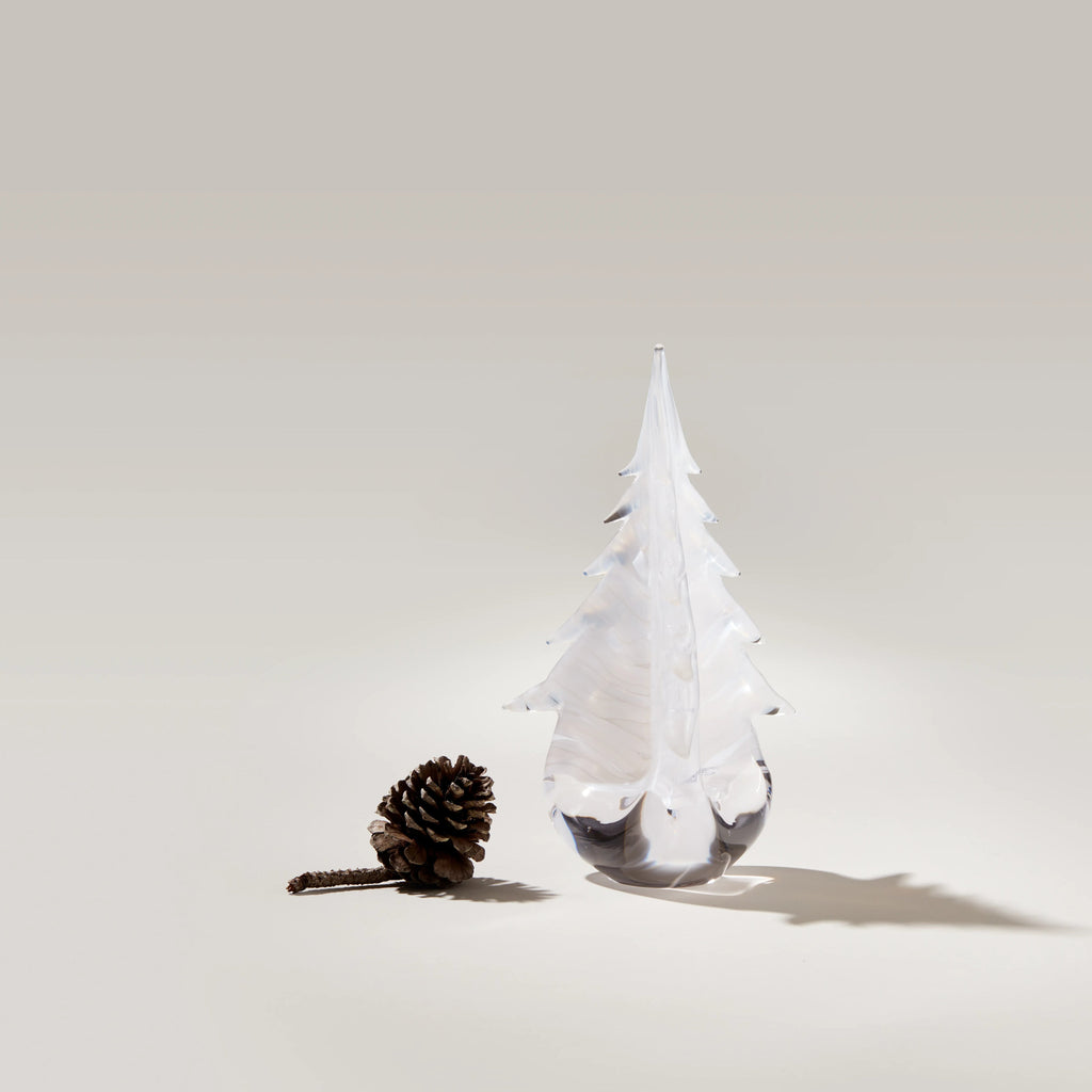 Snowdrift Evergreen in Gift Box