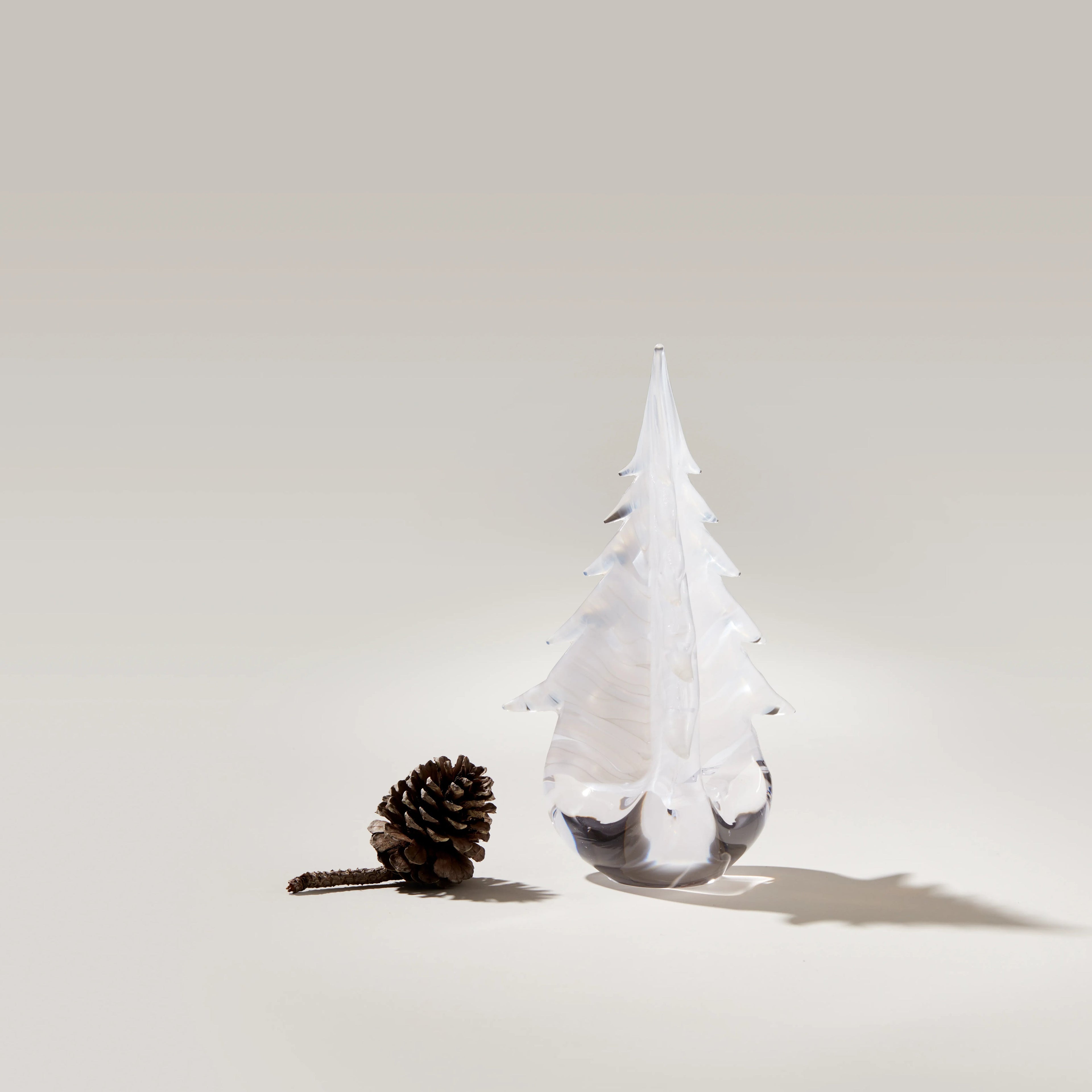 Snowdrift Evergreen in Gift Box