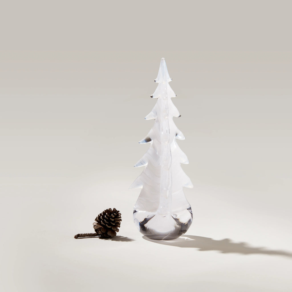 Snowdrift Evergreen in Gift Box