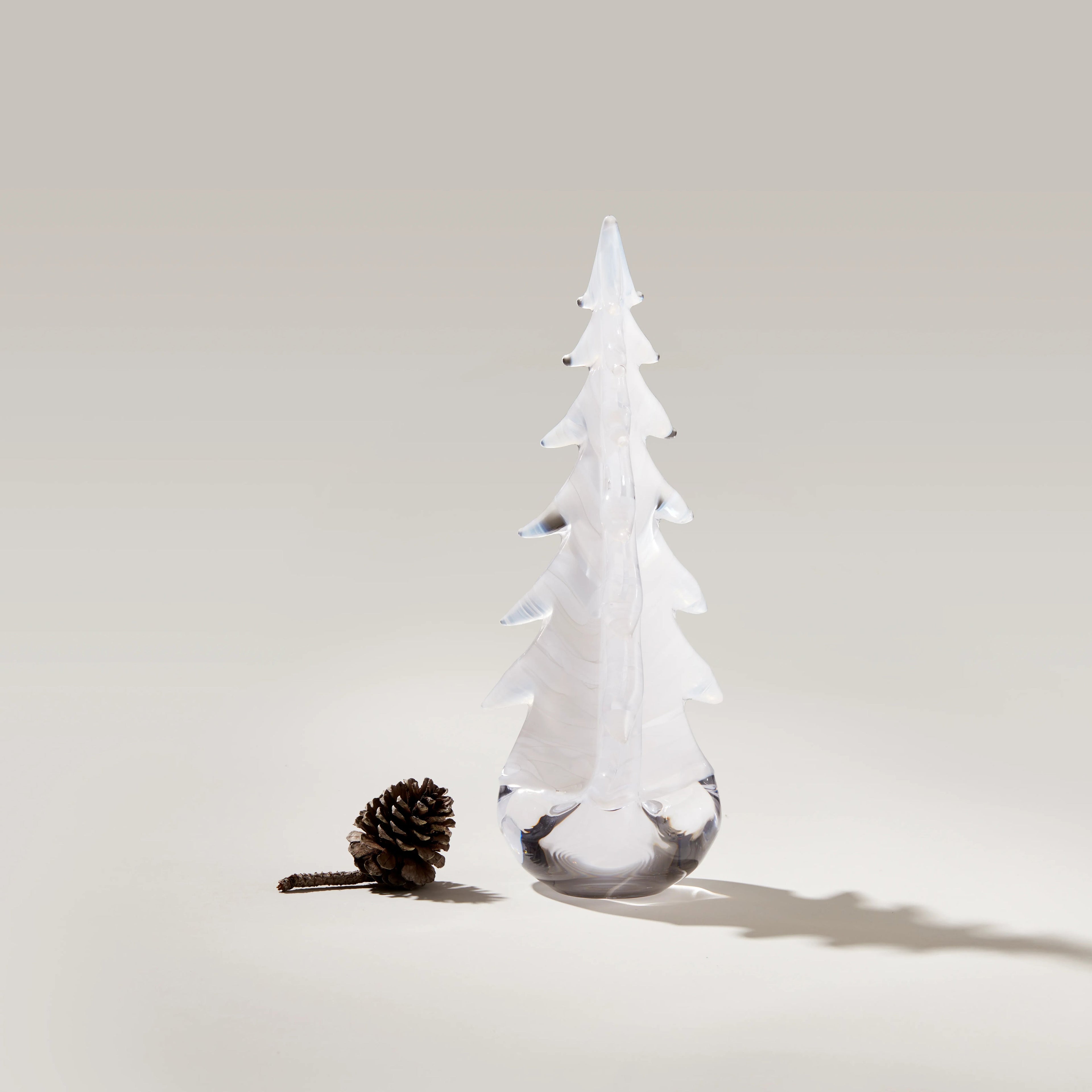 Snowdrift Evergreen in Gift Box