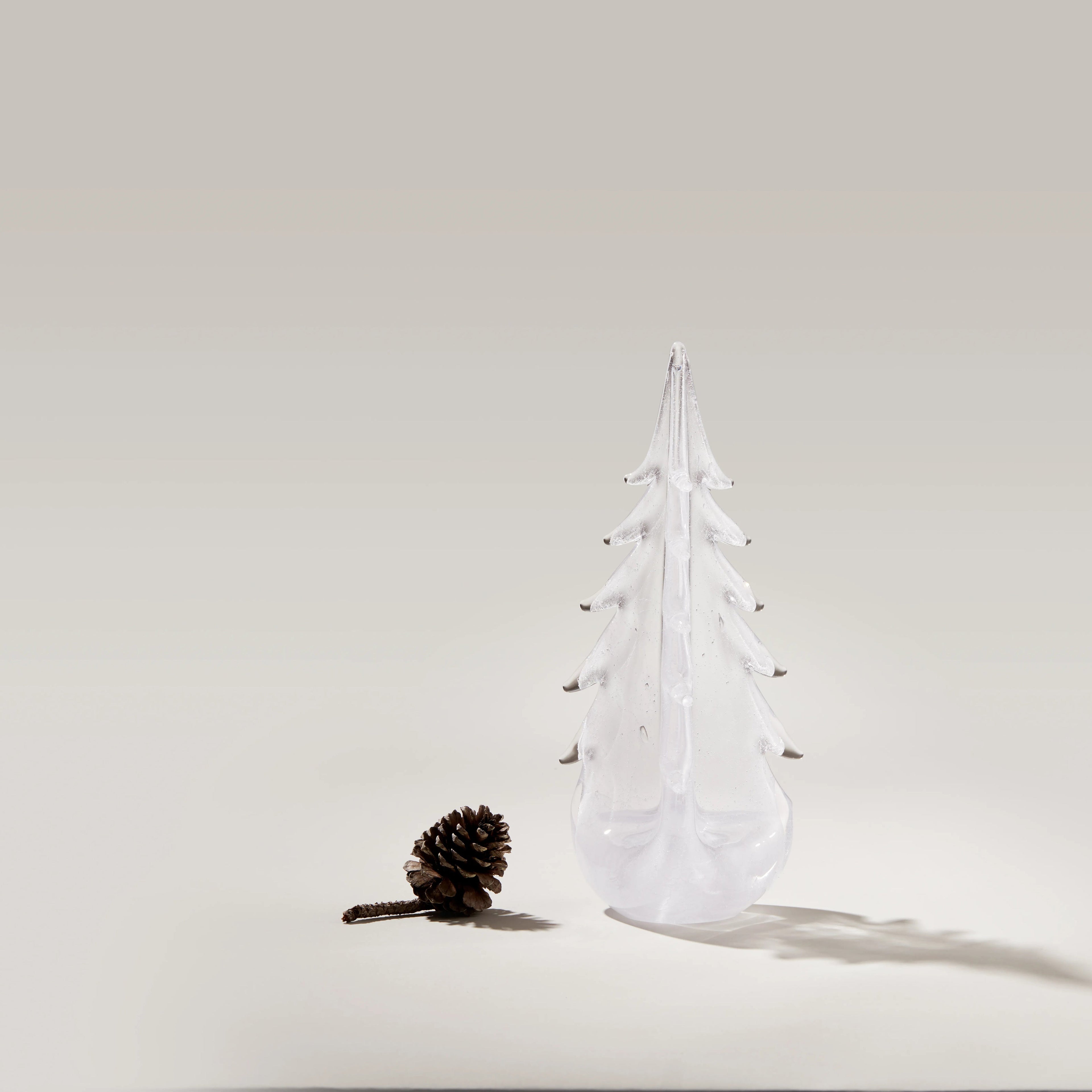 Vela Evergreen in Gift Box