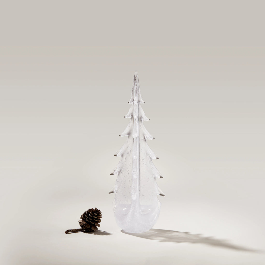 Vela Evergreen in Gift Box