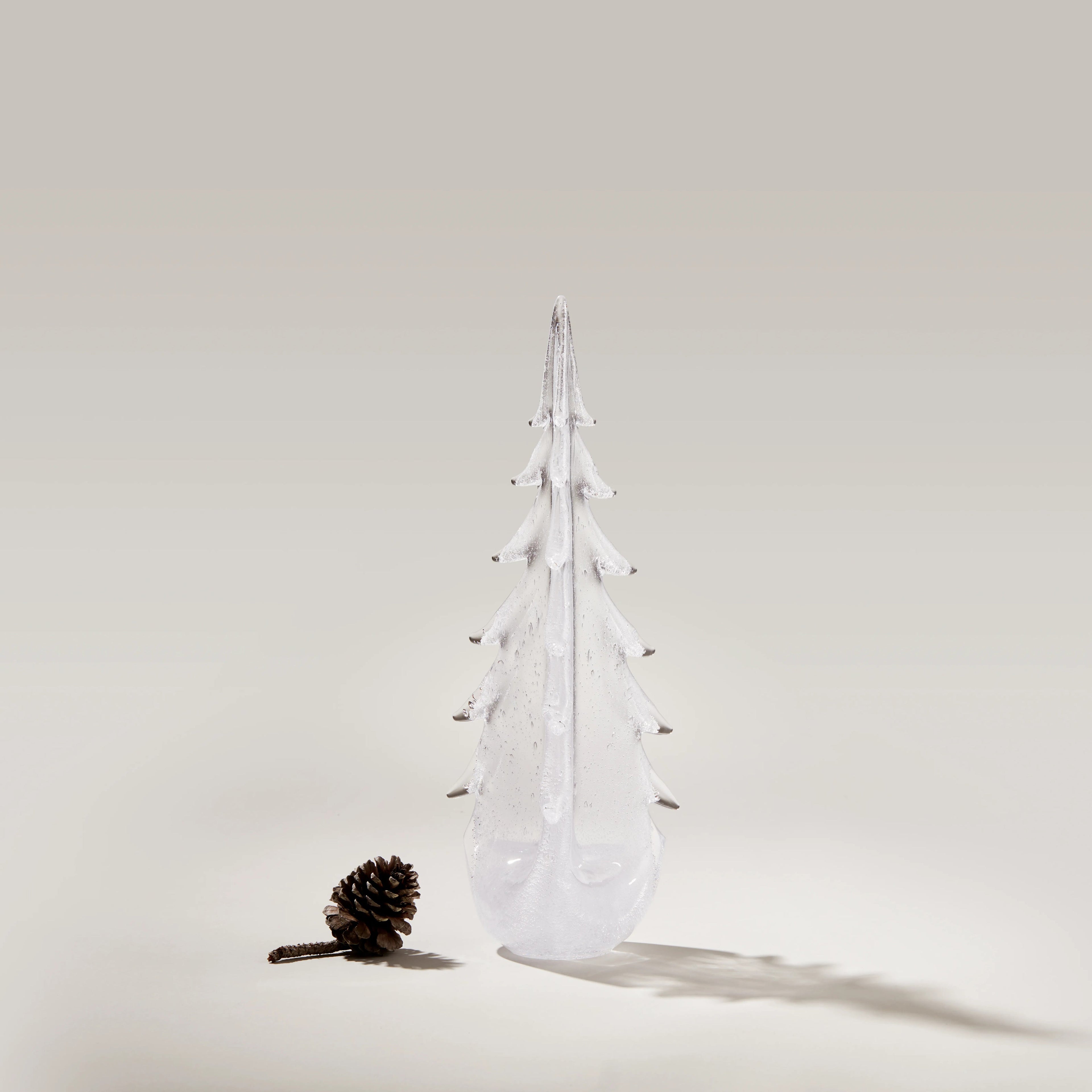 Vela Evergreen in Gift Box