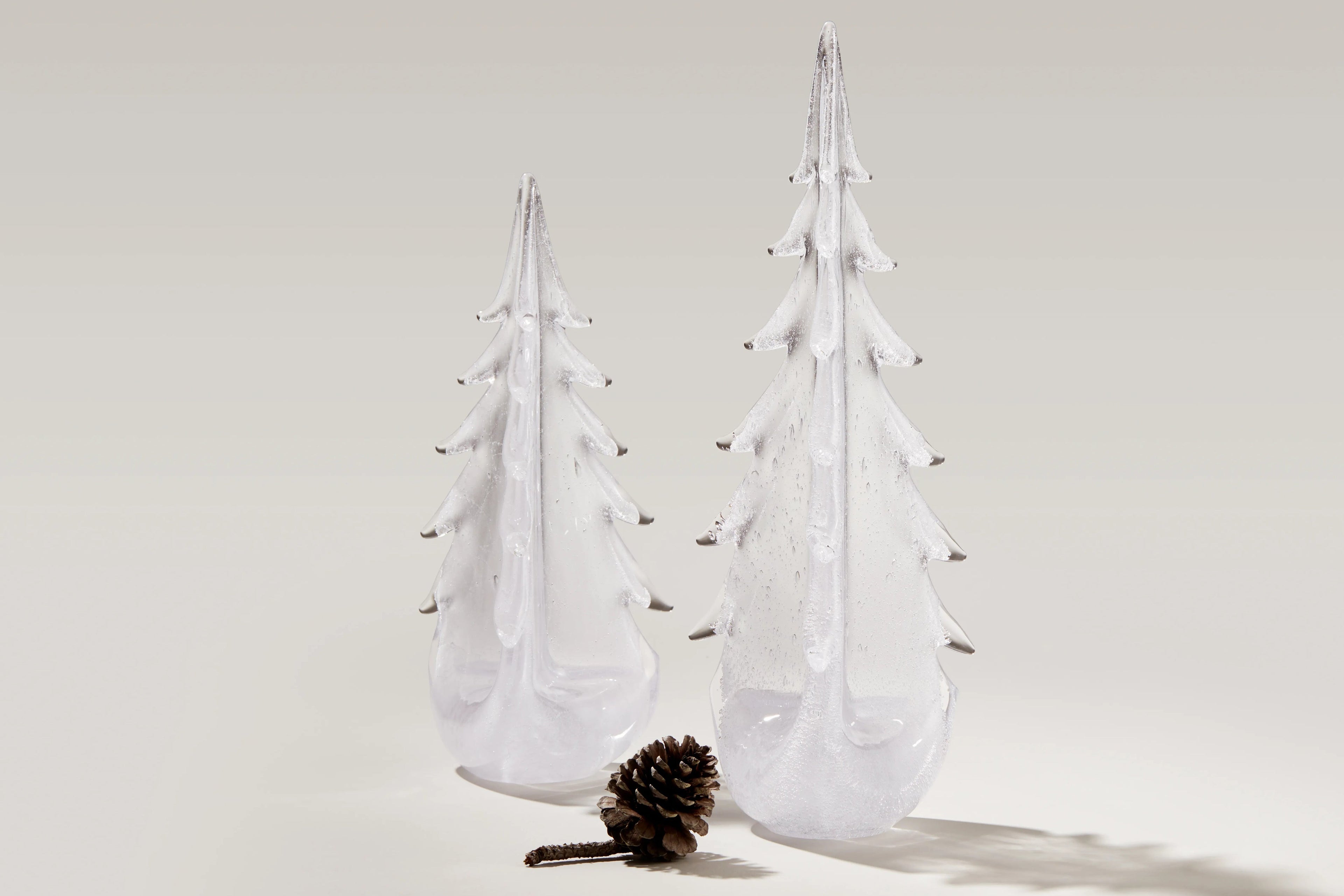 Vela Evergreen in Gift Box